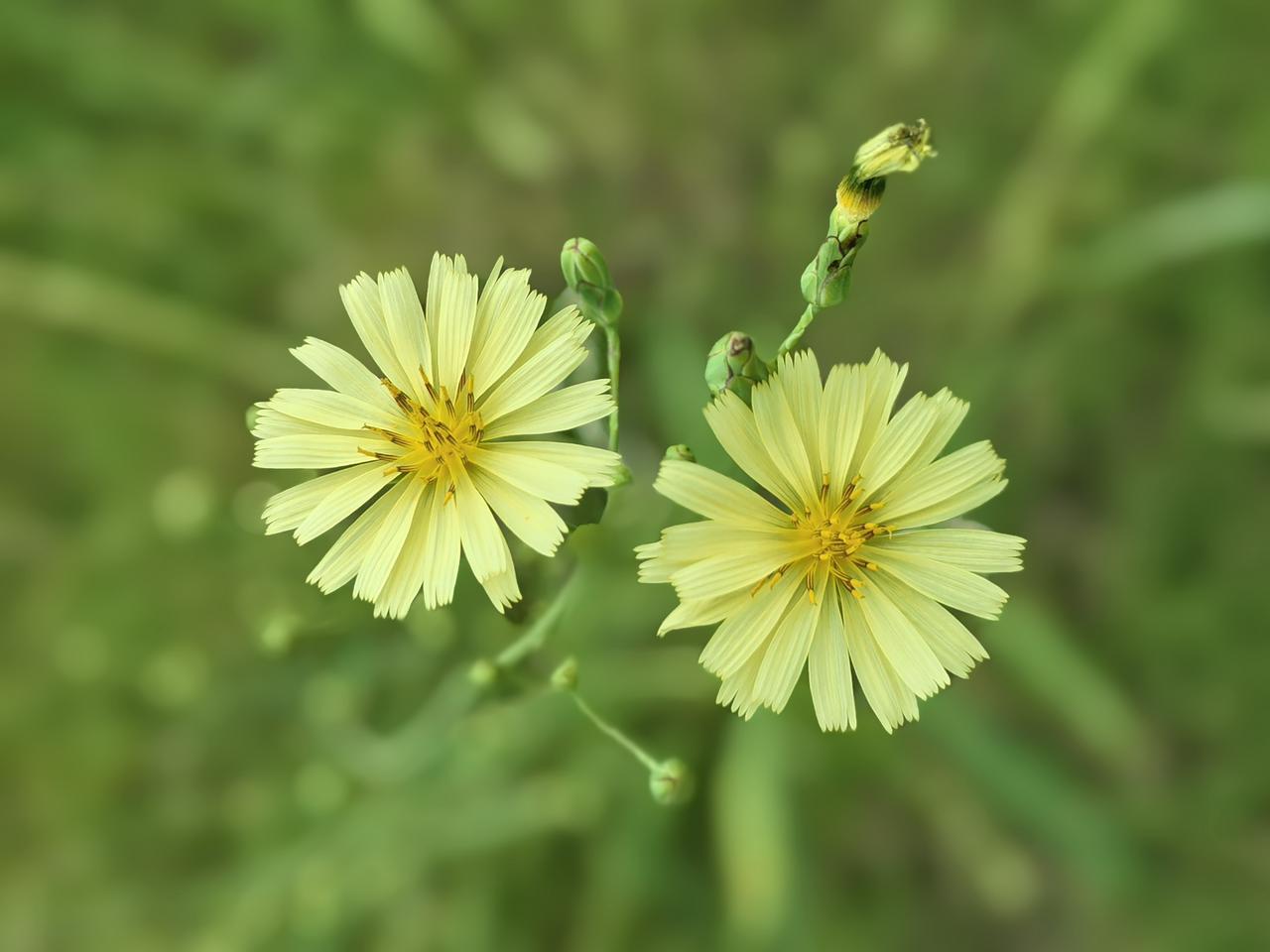 结婚的好处：
1.生病有人端水喂药，不用自己硬扛;
2.赚钱一起花、花钱一起省，