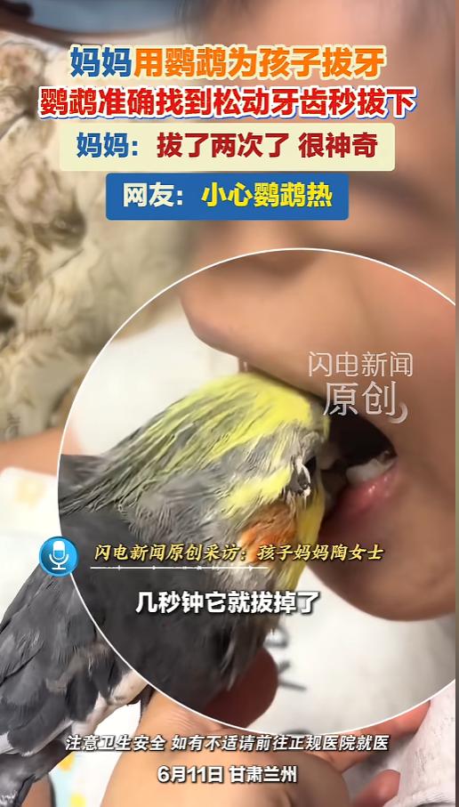 “活久见！”6月11日，甘肃兰州，一个小男孩到了换牙期，妈妈在网上刷到鹦鹉可以拔