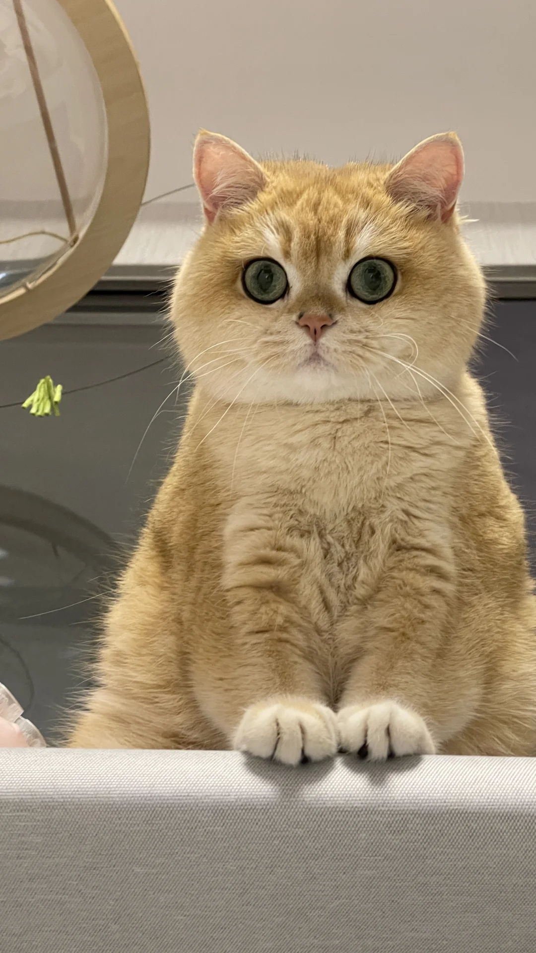 把一汪湖泊搬进和孩子们的日常🐾