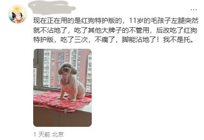 真的假的？！这个狗狗软骨素真的这么神奇嘛