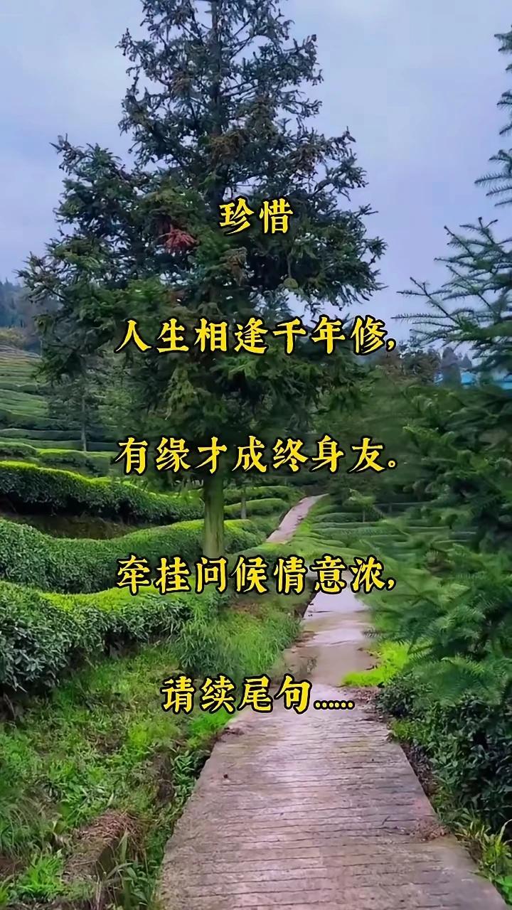 珍惜。
人生相逢千年修，
有缘才成终身友。
牵挂问候情意浓，
情深义重手挽手。