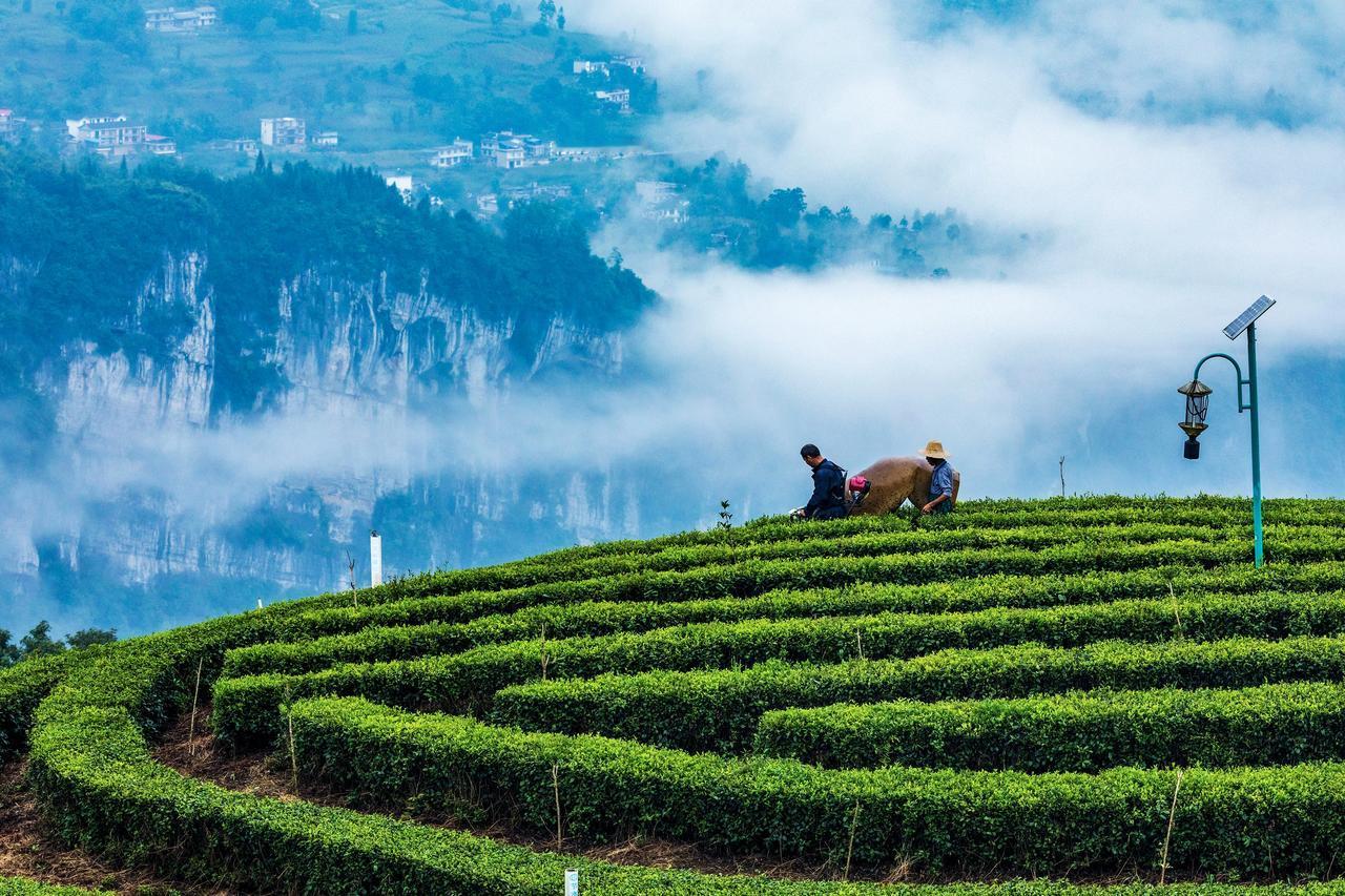 内耗的人生真让人窒息！很多时候，内耗就是因为我们太追求完美。就像想一次性制定完美