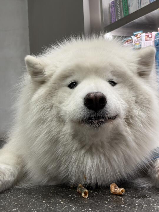 不要让好东西消失