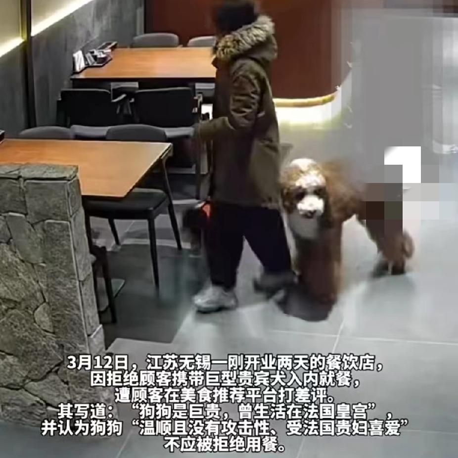 太奇葩！女子牵一大一小两条狗进餐饮店，被店员劝阻后愤怒离场，并留下差评：“我的狗