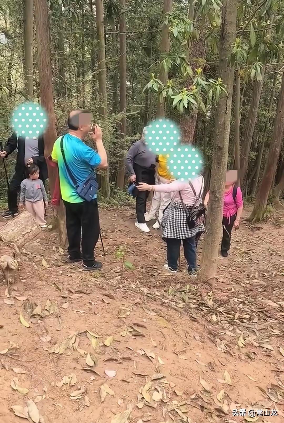 几名老人徒步去爬南昌老四坡，爬到半山腰时，一老太太体力不支，靠在树干上大口大口喘