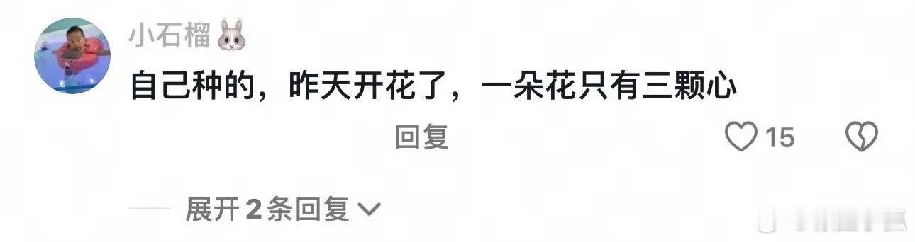 以防你没看过水泡西红花 不得不说这期节目让我对水泡西红花有了全新的认识。感觉自己