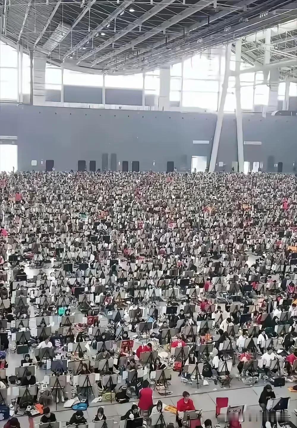 “一图揭示艺考生的现状…”