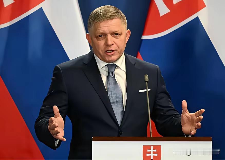 泽连斯基又得罪欧洲一国家！
继匈牙利宣称反对欧盟一切有利于乌克兰的决定，坚决行使