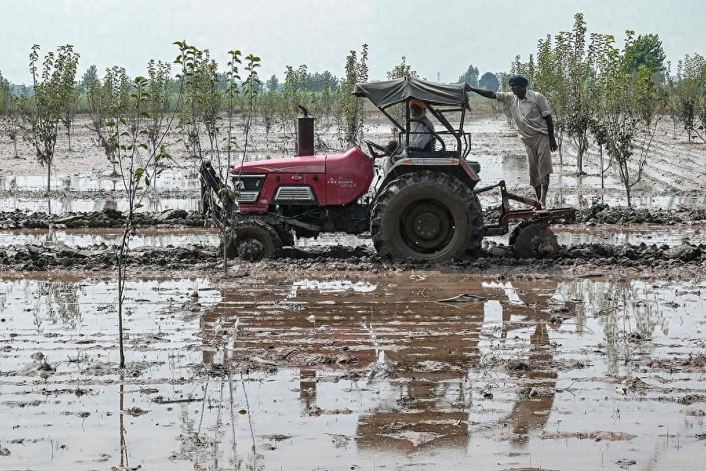 粮食这么重要，为什么全世界的农业都不挣钱？

超市里买一袋面包要十几块，可种小麦