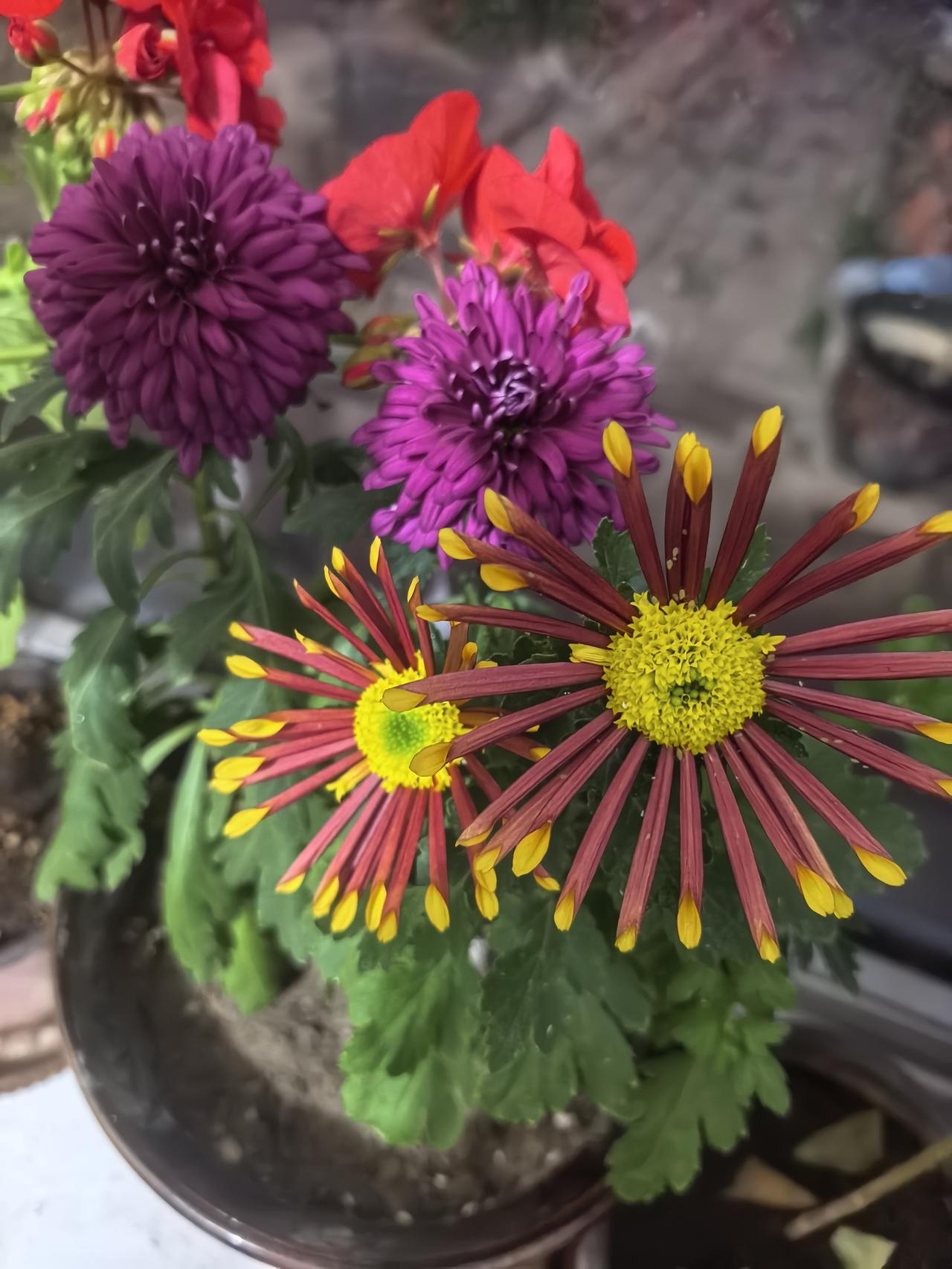 下联:水涌水退水无痕。对对联看了上联脑子里突然涌来一句：“夏满芒夏暑相连”来，好
