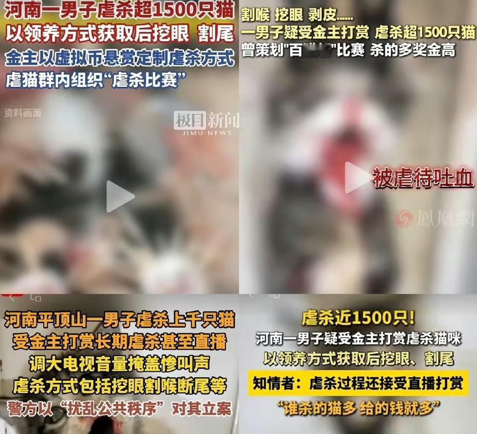 河南平顶山37岁男子马某太让人愤怒了！他4年虐杀超1500只猫，手段极其残忍，像
