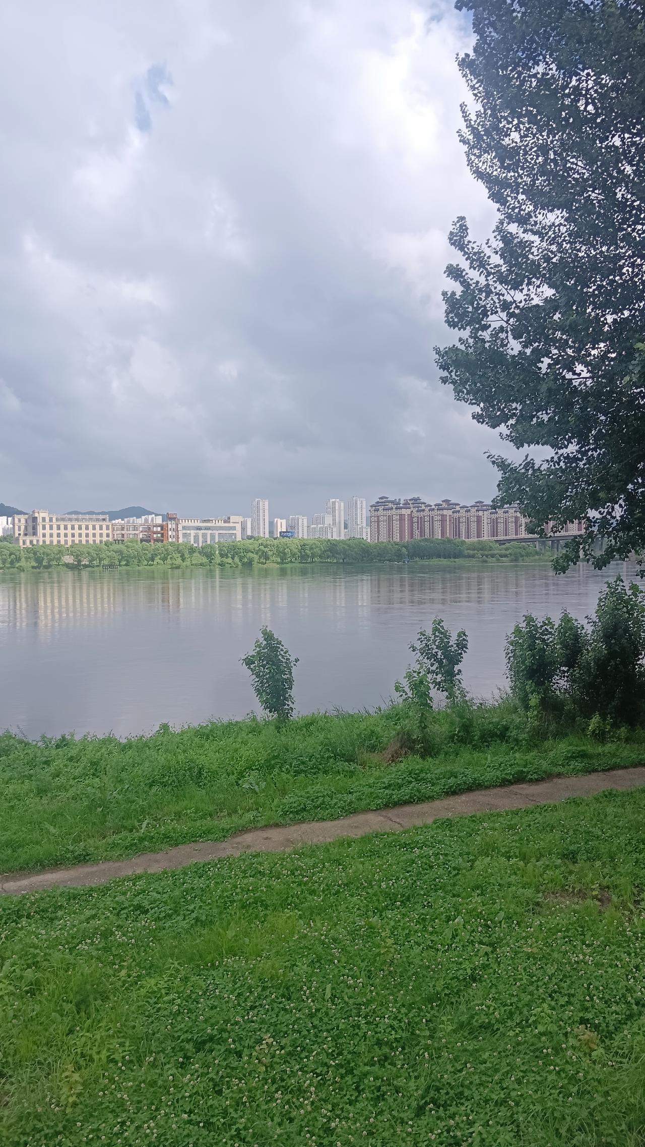 清晨山间云雾缭绕，感受大自然宁静美好的时刻。