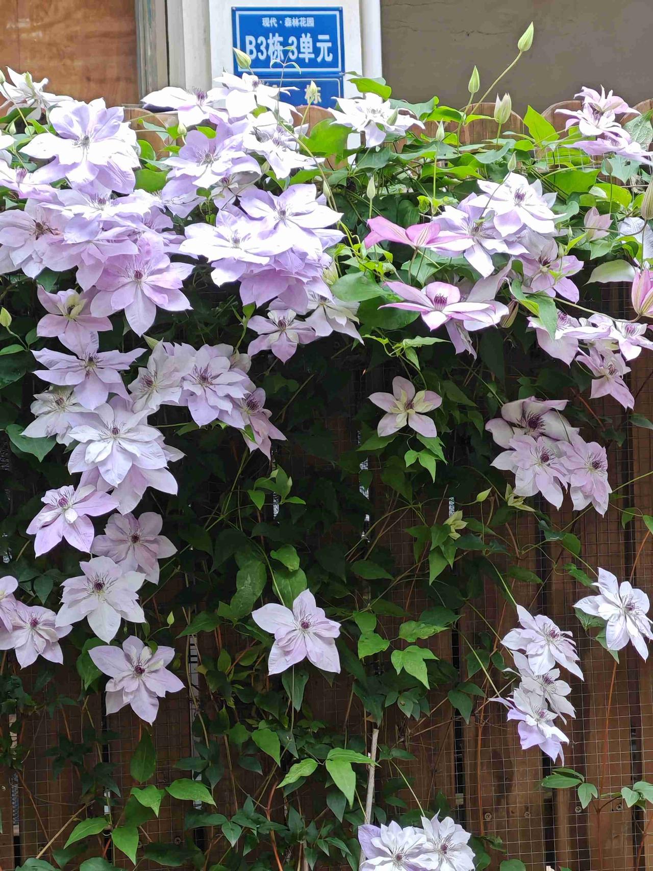 我的今日状态：😁轻松愉快
我这里的天气：☀️晴天