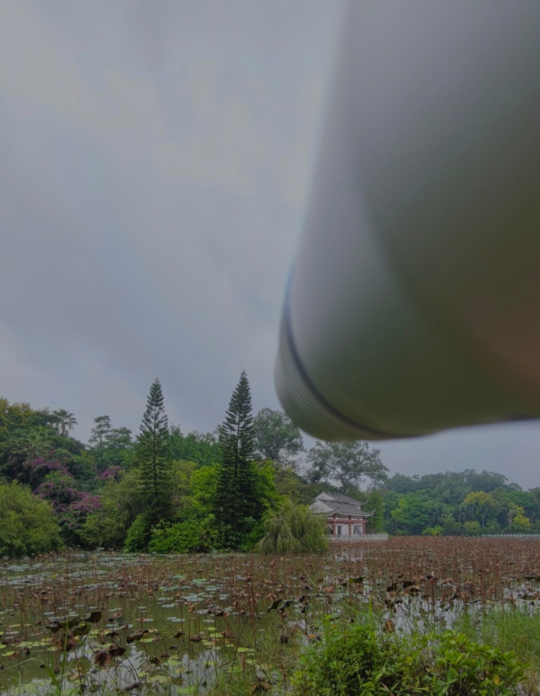 增距镜成新型演唱会神器了吗我的手机镜头开了外挂增距镜是一个很好的手机长焦摄影“物