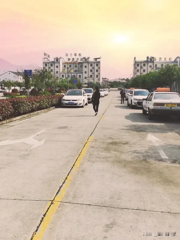 学过车的估计不少人都挨过驾校教练的骂。我练科二时，就被教练骂得怀疑人生。我全程死