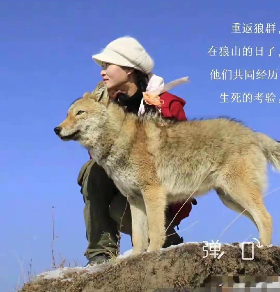 李微漪告诉格林，以后你见到人就拼命跑，不要管妈妈，自己拼命跑开，李微漪这是教格林