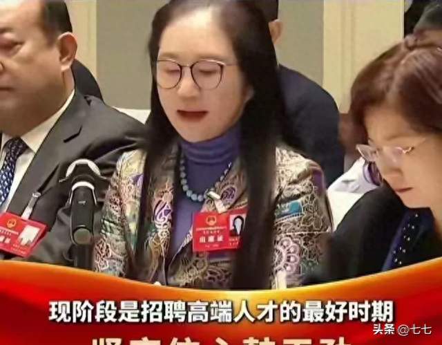 大众调查，奔驰发函！星宇深陷多重危机，上市与否已经无足轻重