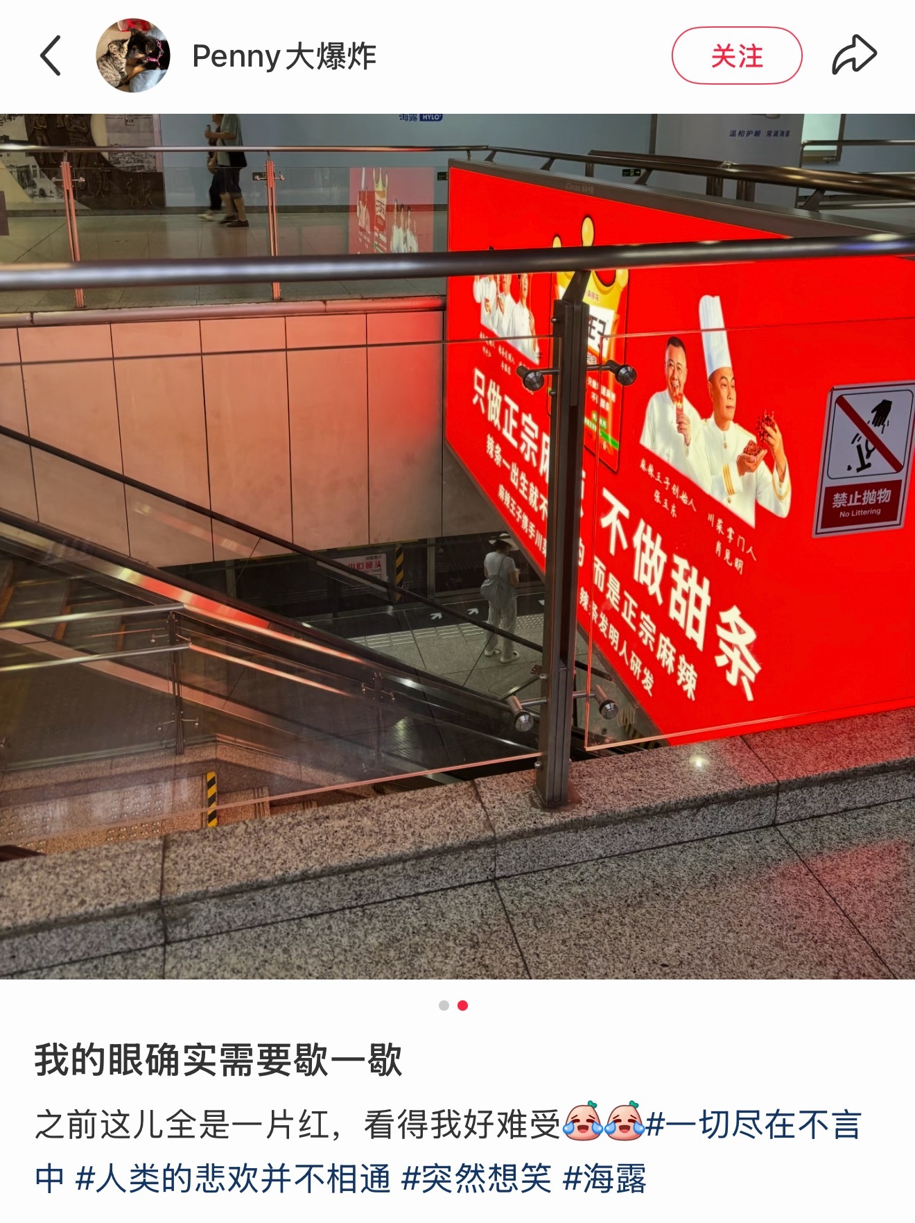 海露的这个创意确实很好 ​​​