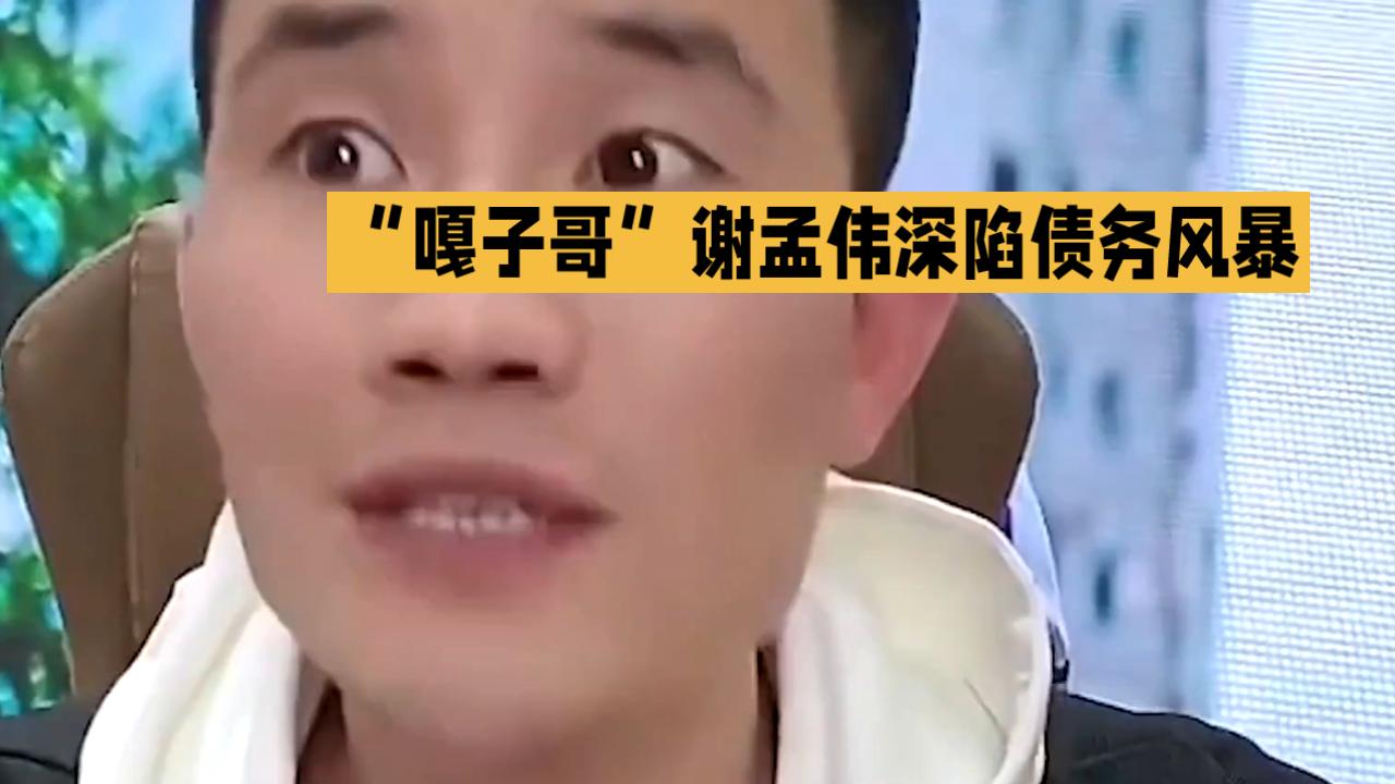 “嘎子哥”谢孟伟：债务风暴下的明星困境

近日，企查查数据显示，“嘎子哥”谢孟伟