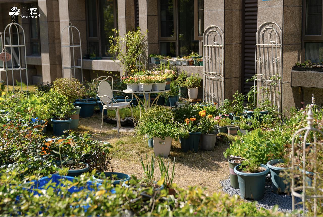 这些年我们吃的海鲜河鲜，很多都是被下过药的
我之前好几次说我们在市区里买的海鲜河