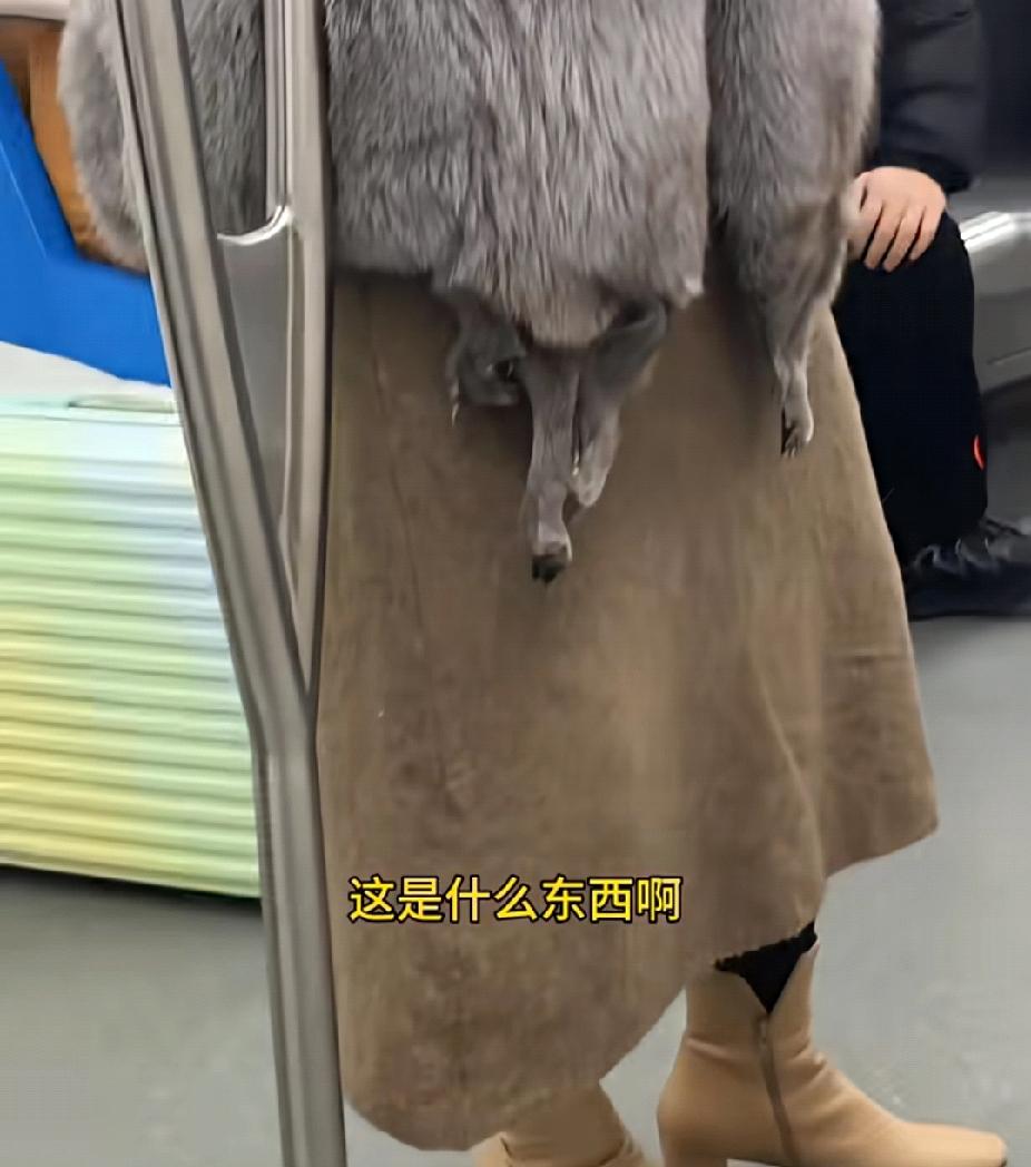 太残忍！地铁女子身穿皮草，下面还带着四只爪子！

一男子坐地铁时，看到一女子穿了