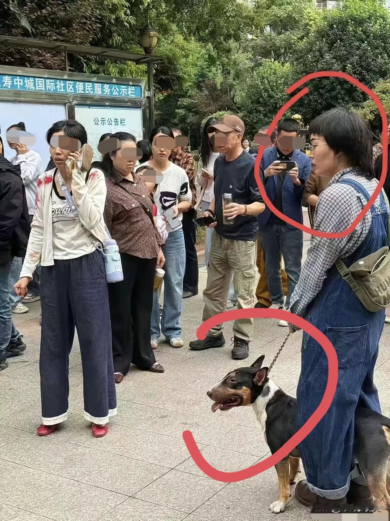 牛头梗女狗主人身份应该不简单，
至今还是没有查到她任何蛛丝马迹！
这个事情在网络