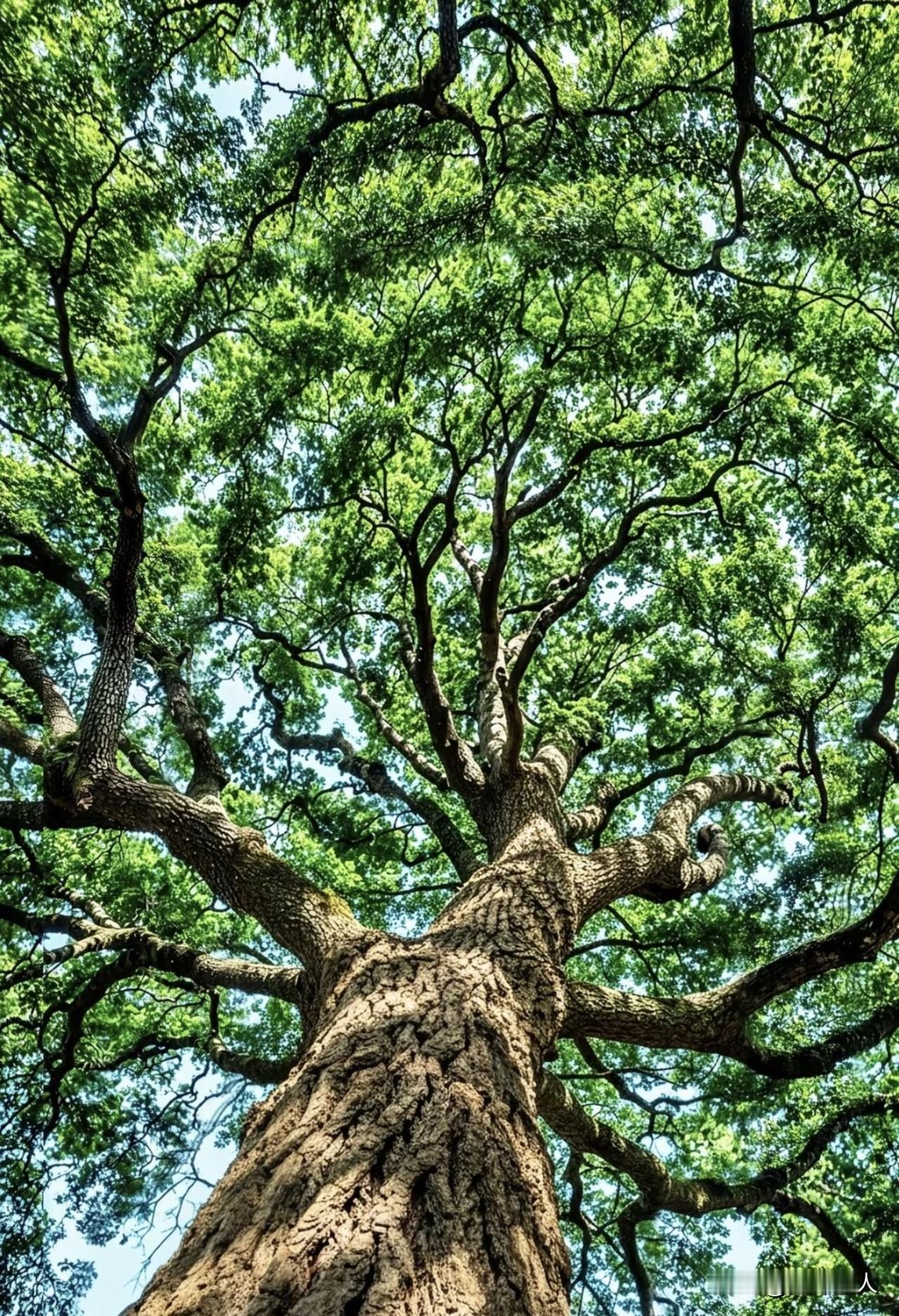 年轻人已经什么本钱都没有了，我为他们悲痛。

现在跟他们讲话，我理解他们也悲痛。