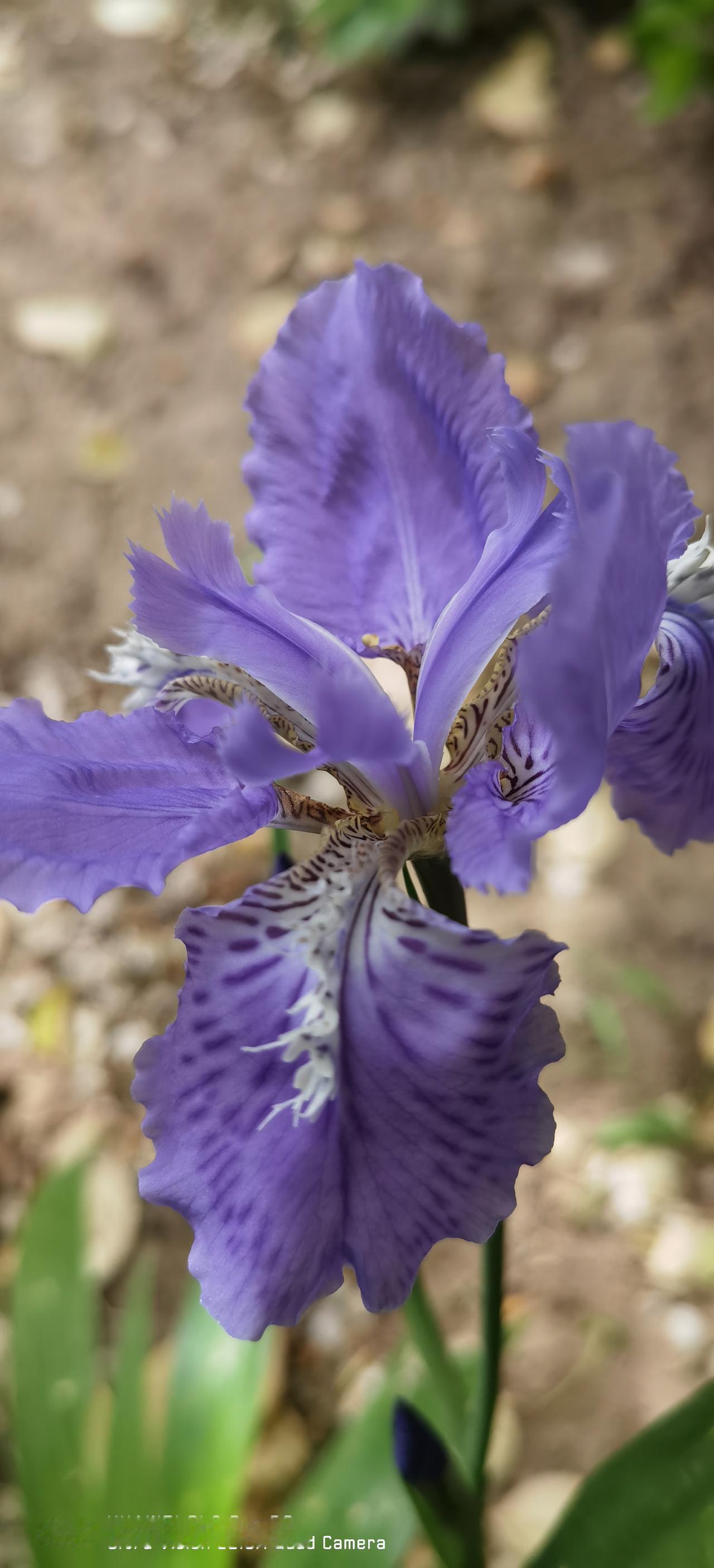 看到有条友说每天给自己定任务，每天必须要写几篇微头条，感到有些不可思议。如果不是