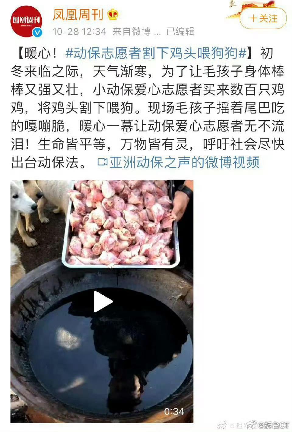 不知不觉间，凤凰周刊已经被钓鱼5周年了。[比耶][比耶][比耶]动保志愿者割下鸡