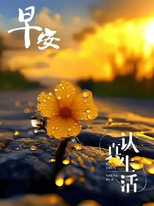 早安早安心语早安中国     美好的一天从早晨开始，早安🌞 
