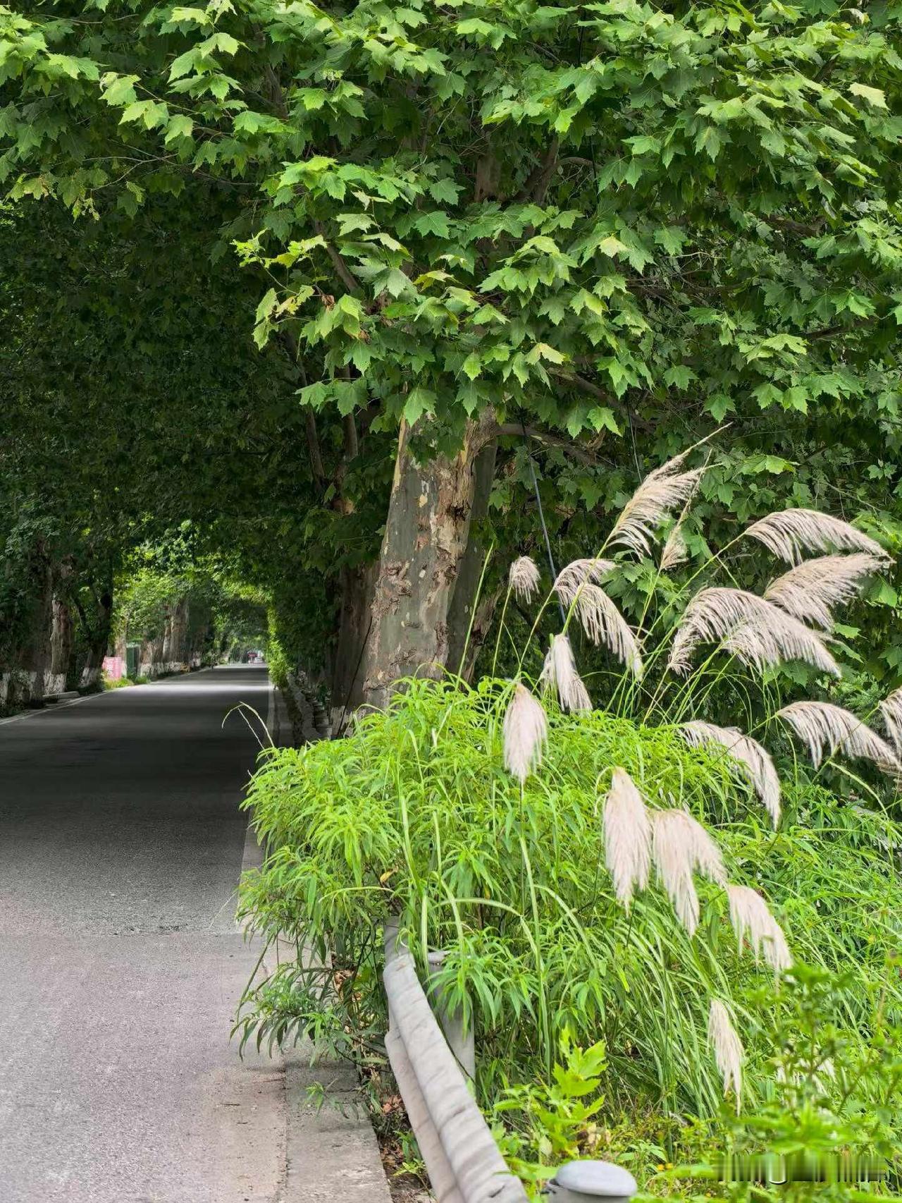 周末骑游成都。
一切都是合理的，不再纠结天气预报的风雨，照常参加周末骑行。出乎预