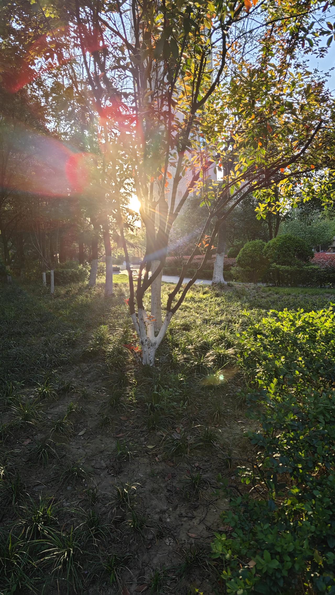 通透的言辞： “很多父母没有想明白一件事，其实父母的晚年都是在为早年的行为买单，
