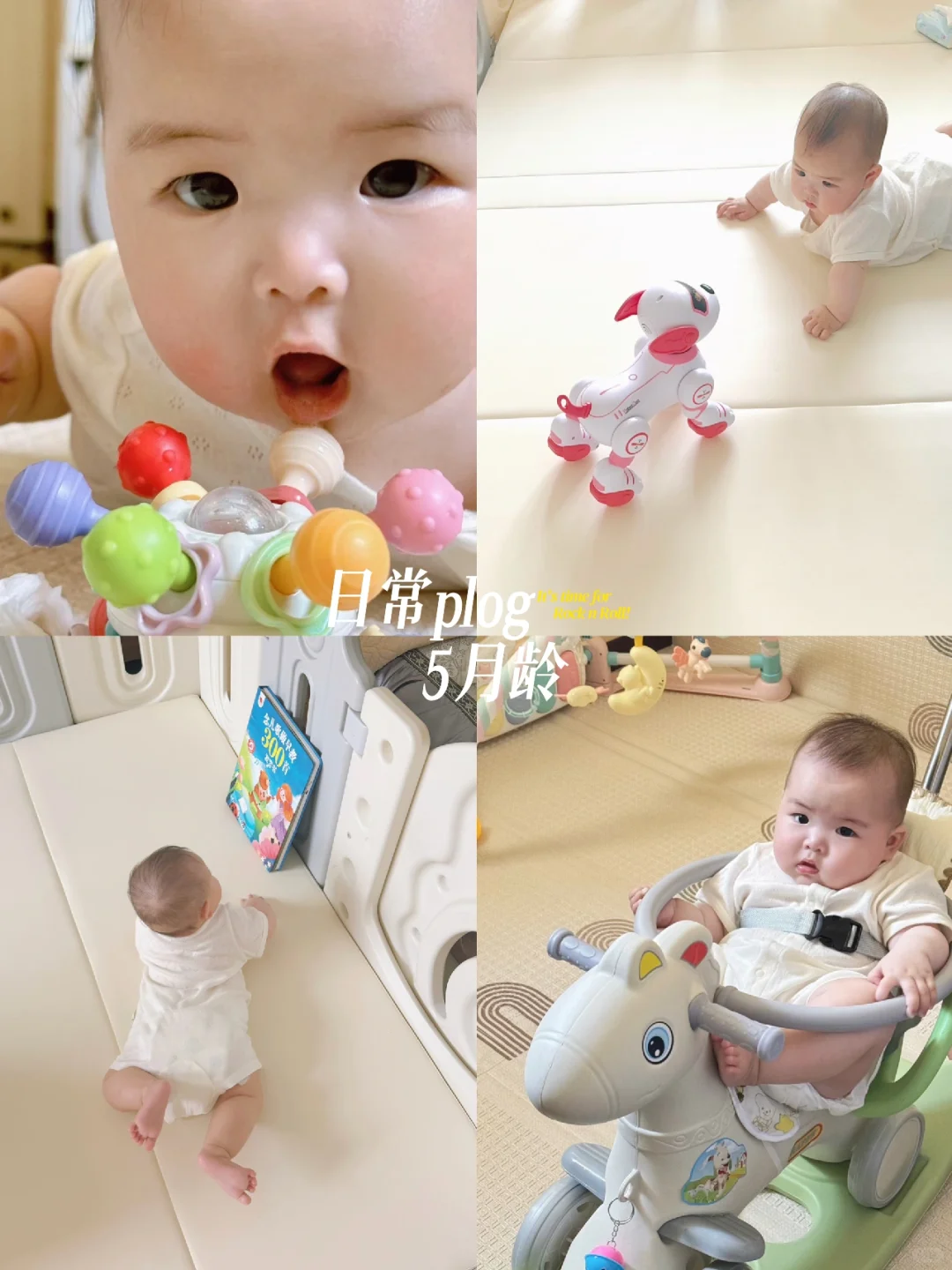 𝑺𝒉𝒂𝒓𝒆｜5月龄又收获了新玩具🪀