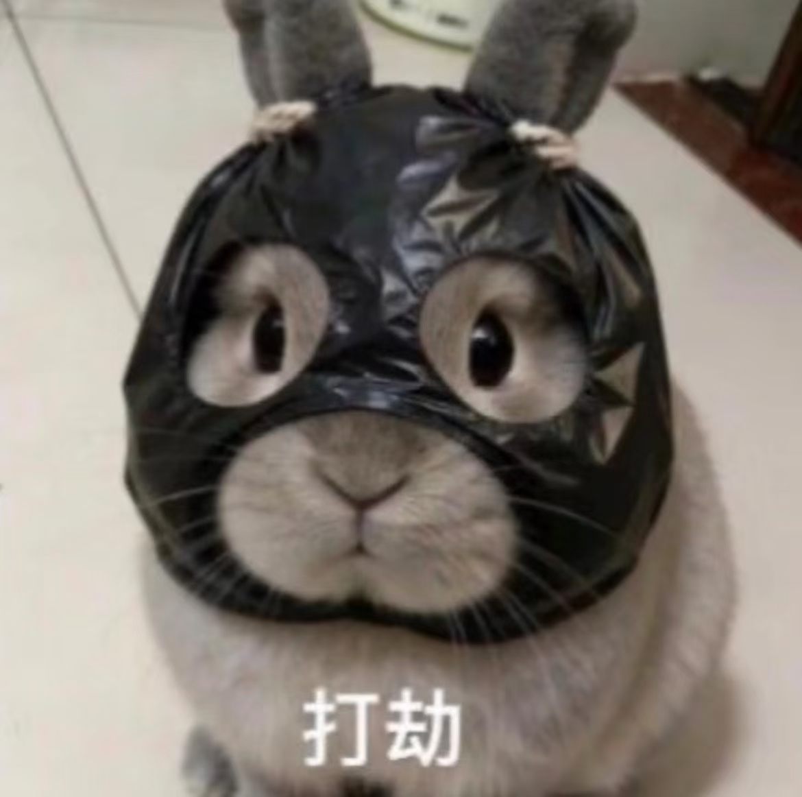 我打劫来了 