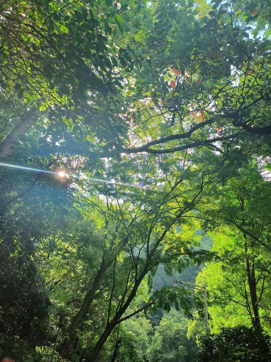 生活中多一些漂亮