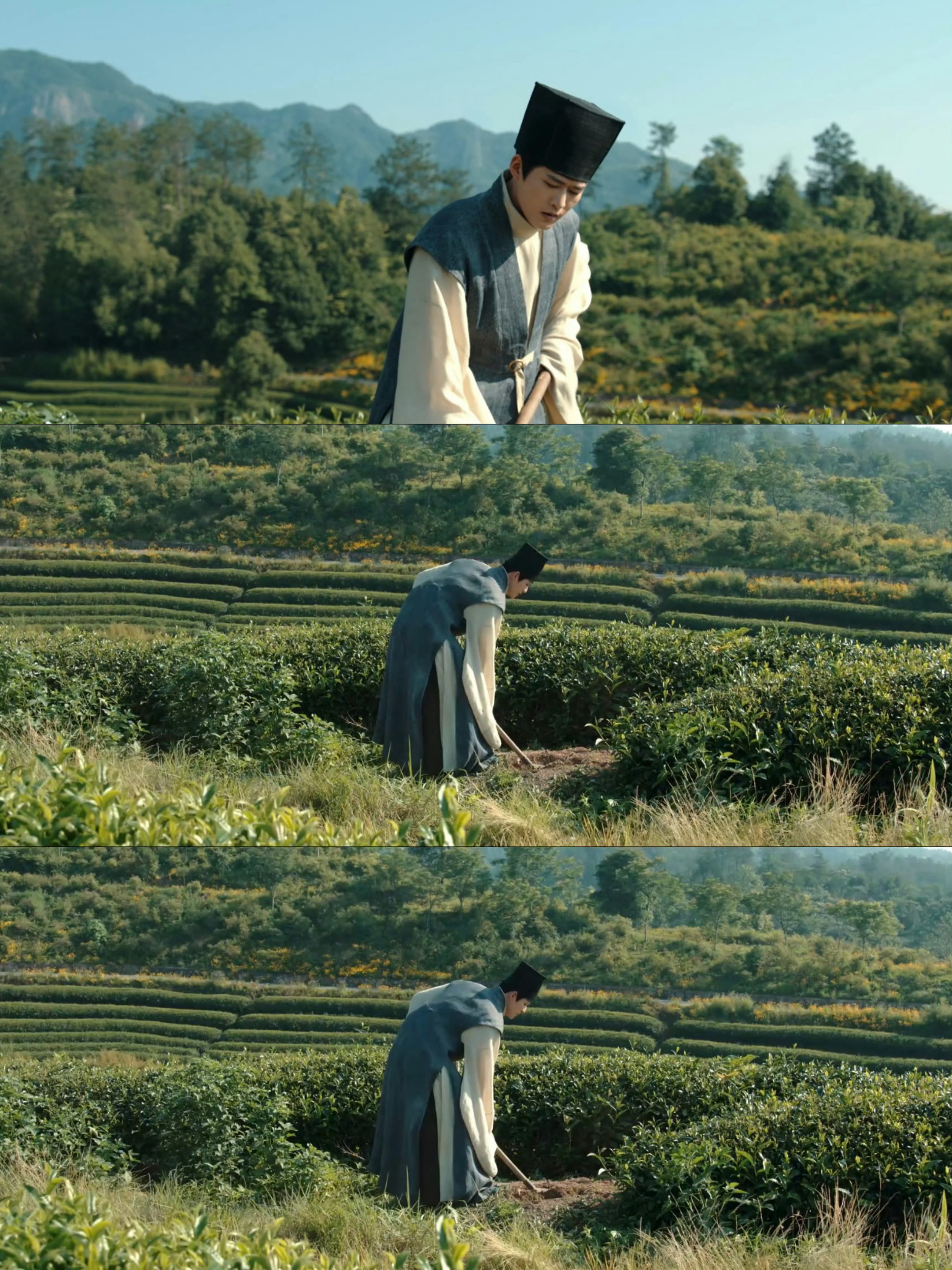 程观语爱的最高境界是放手 程观语的爱，是玉茗的骨，清冽里带着苦，沉淀后方有回甘。