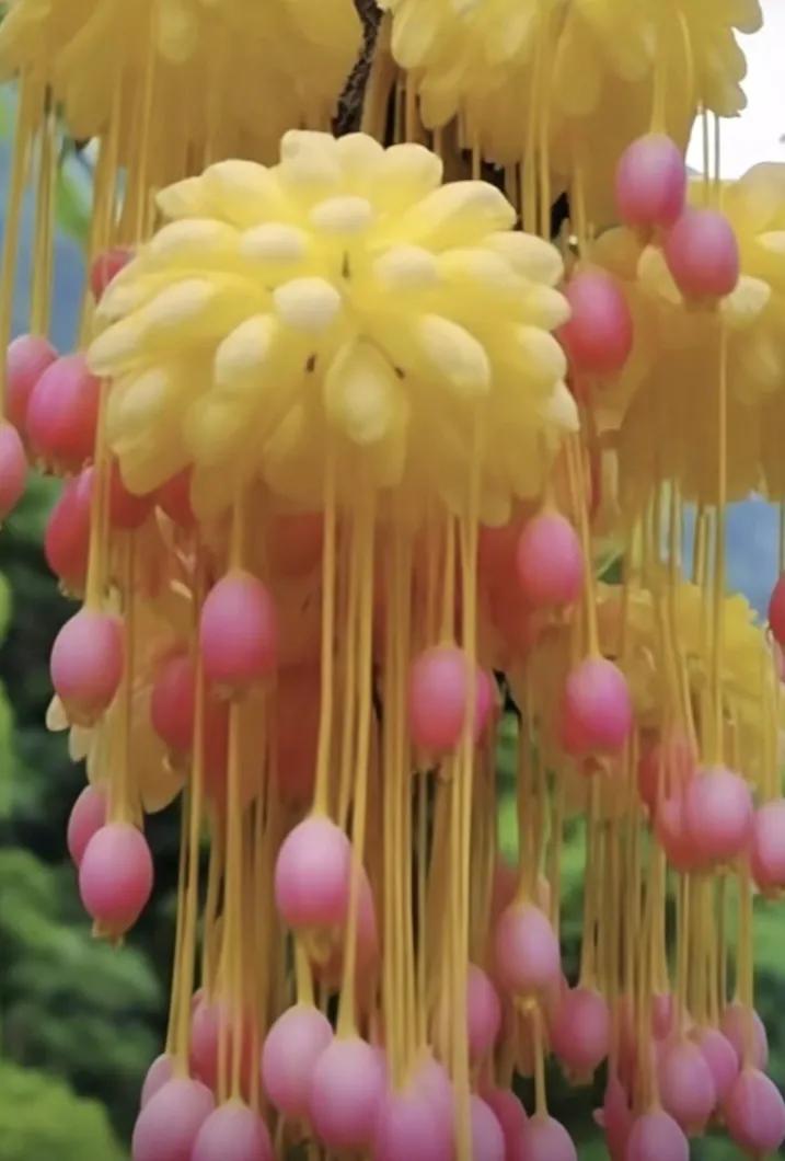#健康被认为是无价之宝,你同意吗?#我同意健康是无价之宝这一观点。
 
从生命质