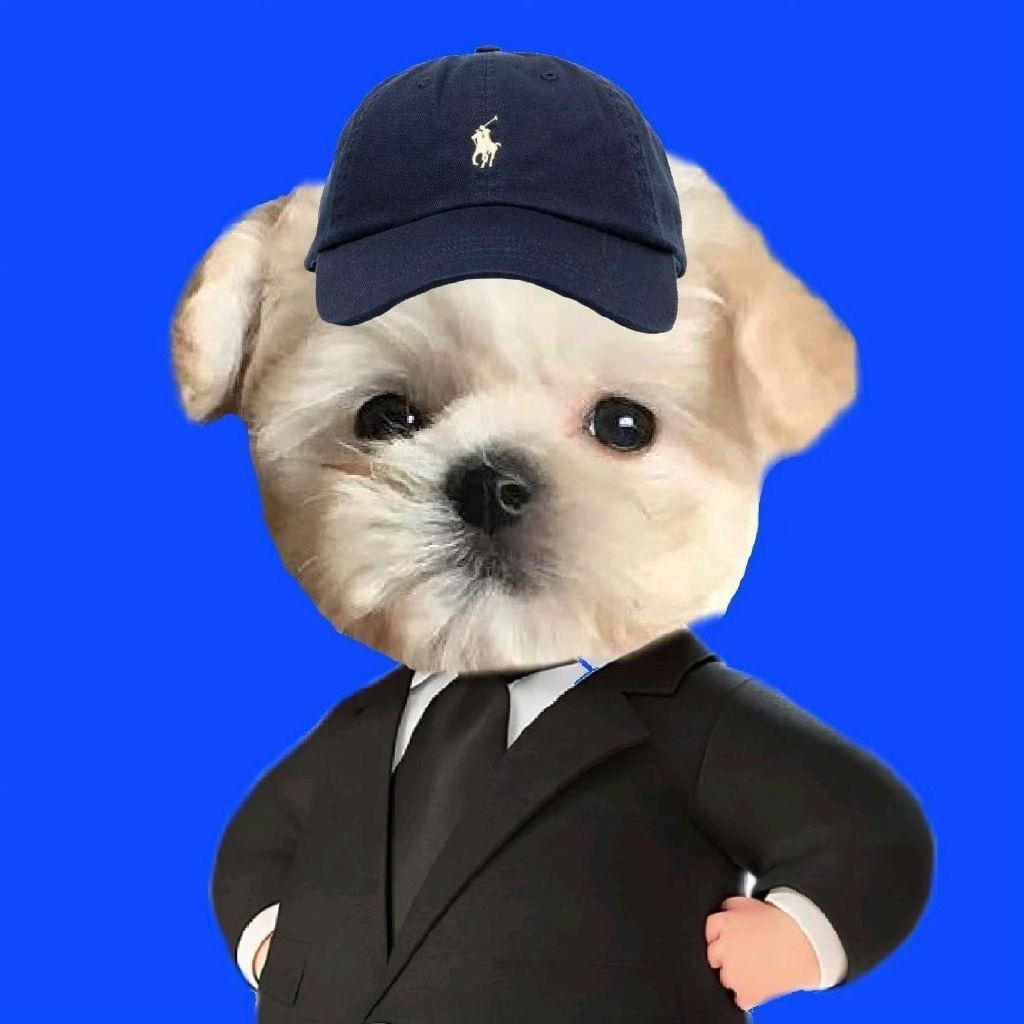 温网2026