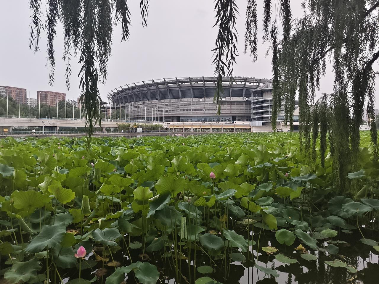 荷兰的输球并不意外，摩洛哥一直控制着场上的节奏