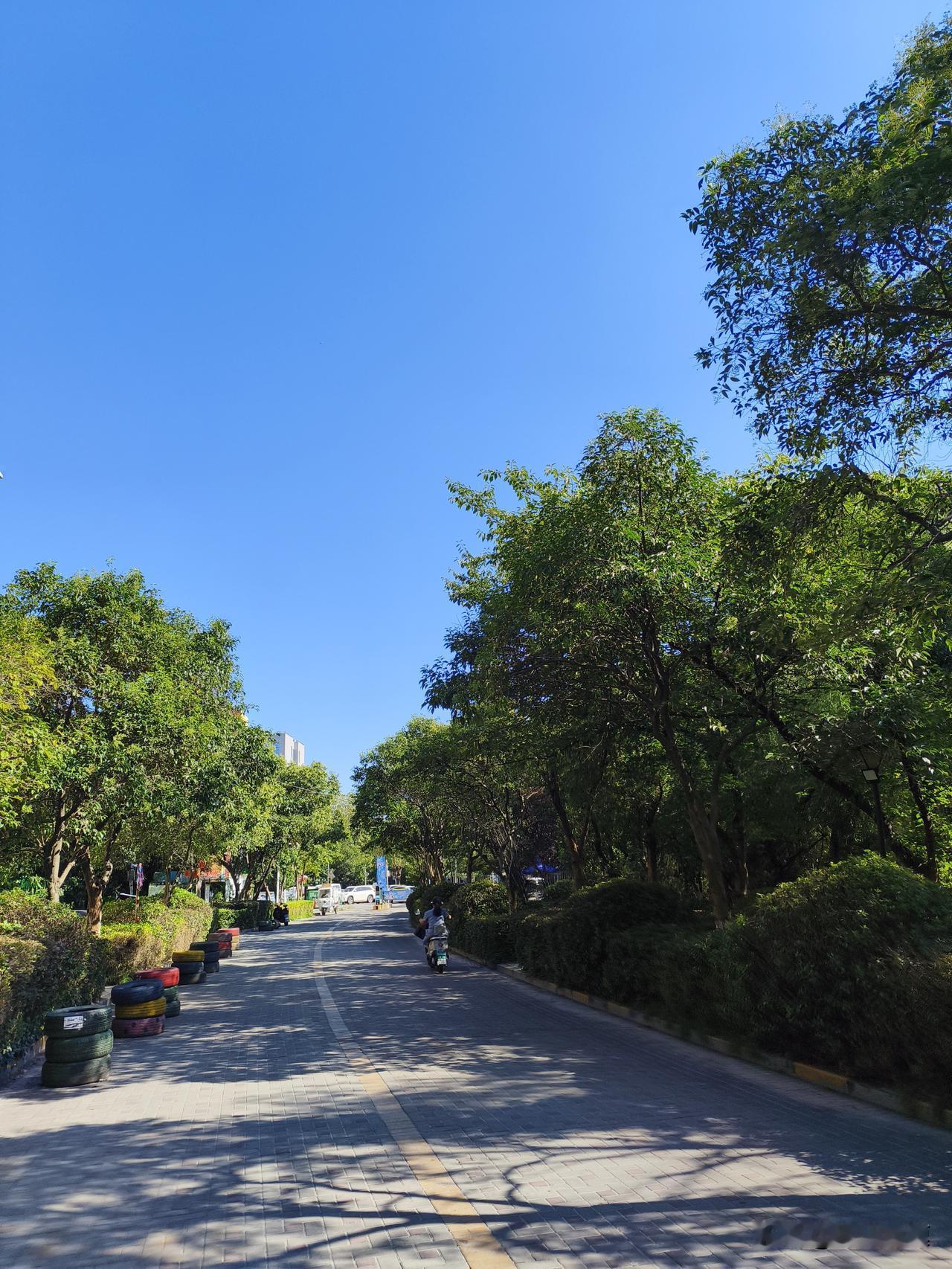 今年这立秋可真是让人摸不着头脑。8月7日19点42分立秋，农历是六月二十五。按农