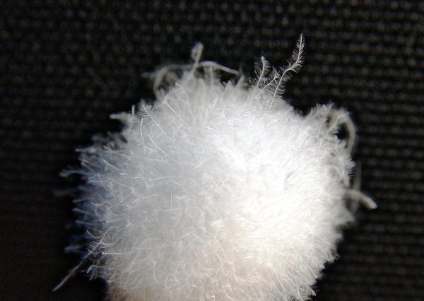 疯涨3倍！1吨鸭绒从17万飙到58万，今年羽绒服为啥贵到穿不起？
 
今年买羽绒