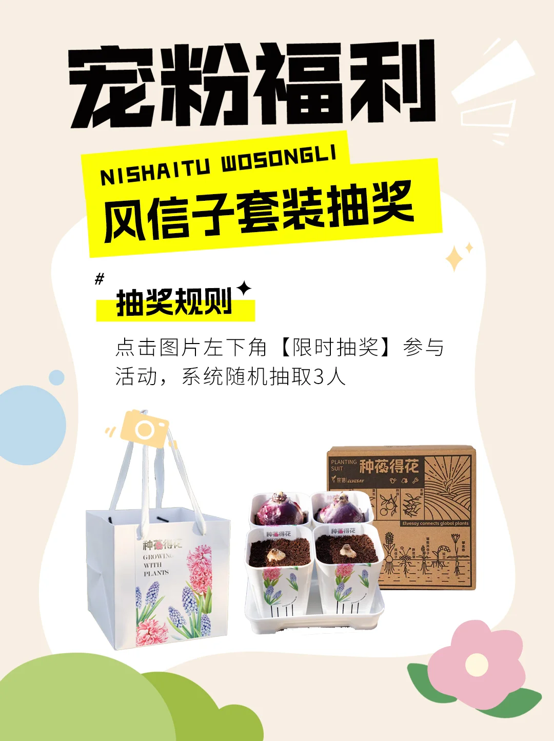 抽奖日🎁｜新年宠粉福利送风信子啦！