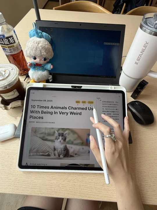 姐下午两眼一睁就是学。