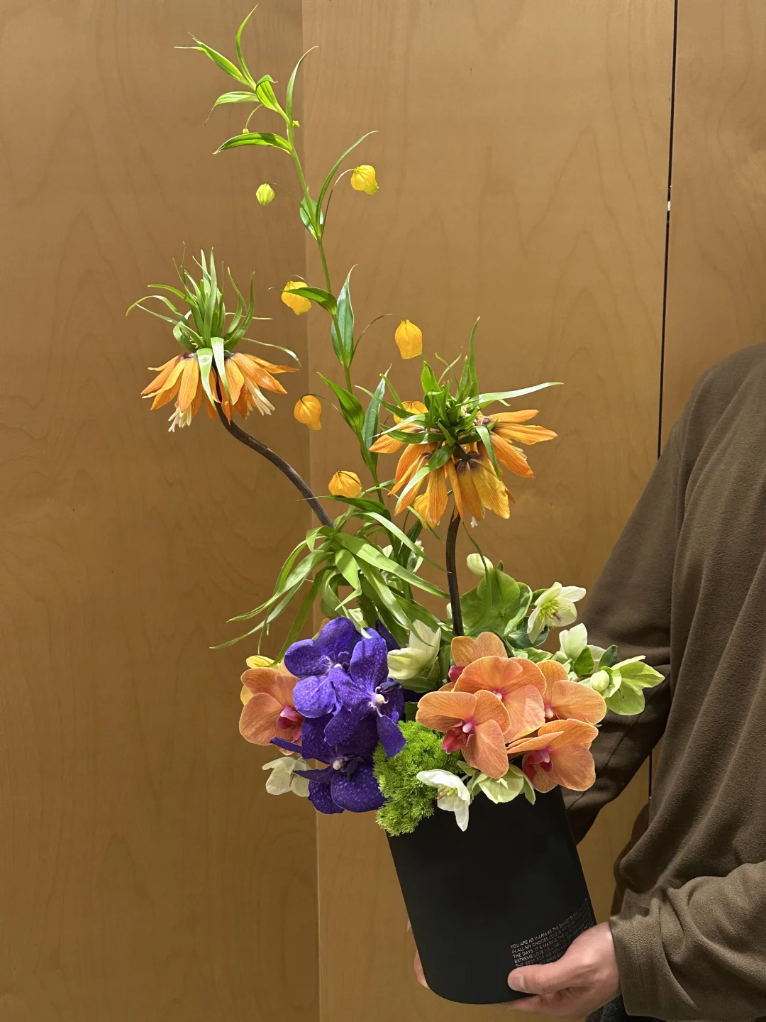 38节｜皇冠贝母👑大女主的花