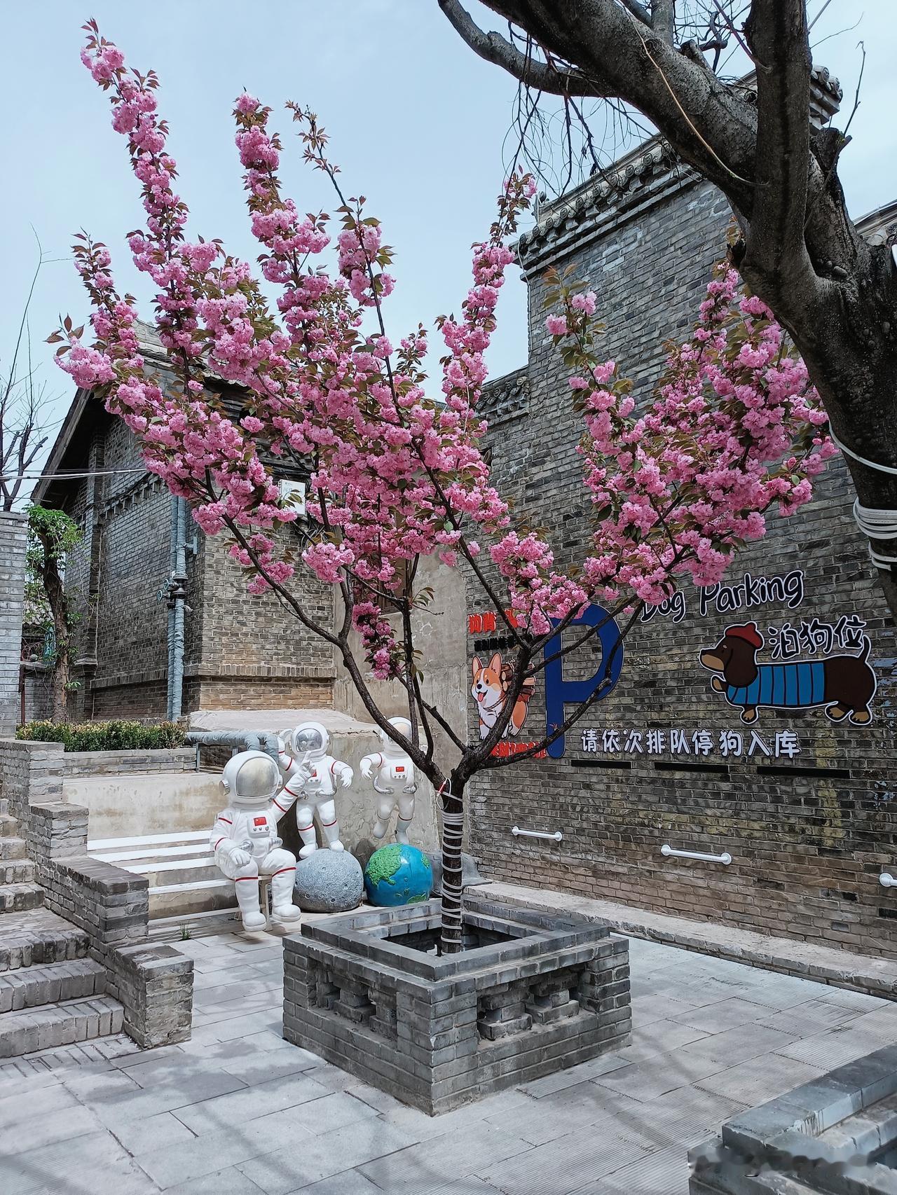 春天的浪漫：就是心中保持热爱，眼里装进美好。

闲时散散步，拍拍春天，心情美美哒