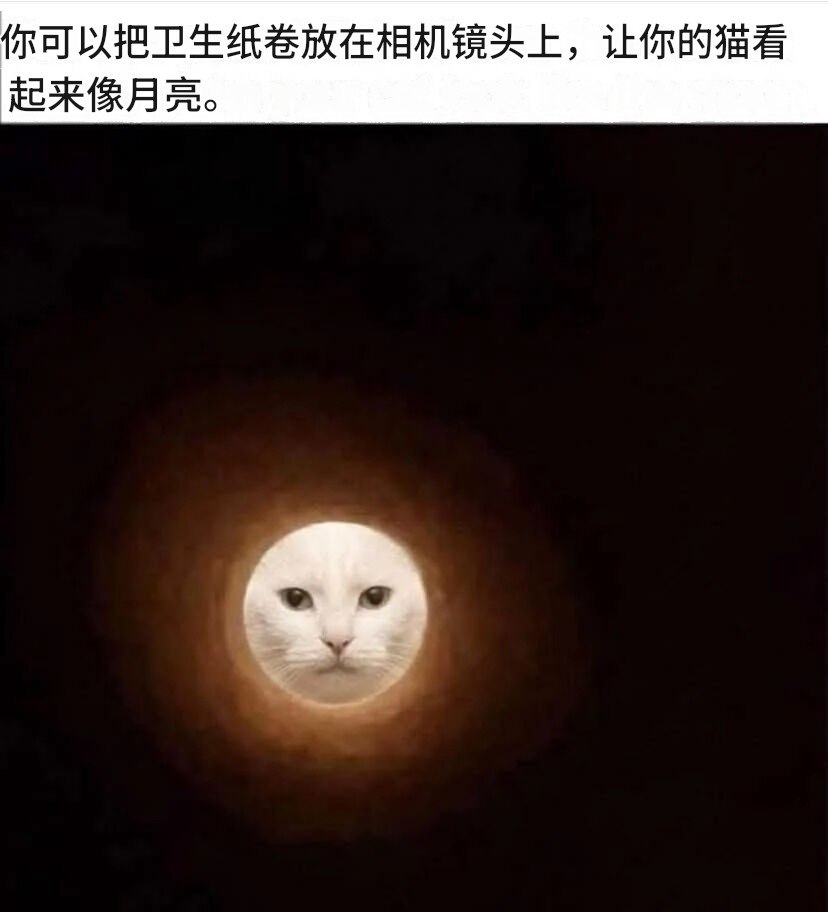 快去试试 