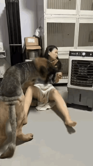 谁懂啊！现在的大型犬也太会撒娇粘人了，黏起人来根本没分寸！你有没有发现一个超明显