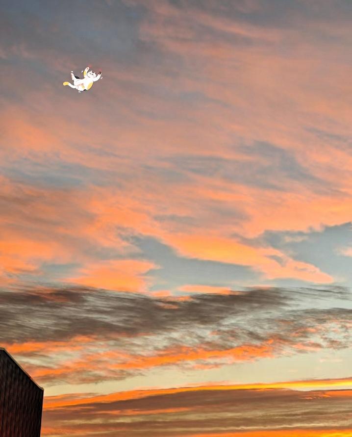 云南的晚霞是偷了橘子海的温柔吧，粉橙云霞漫过天际，连风里都裹着浪漫的甜意✨

咱