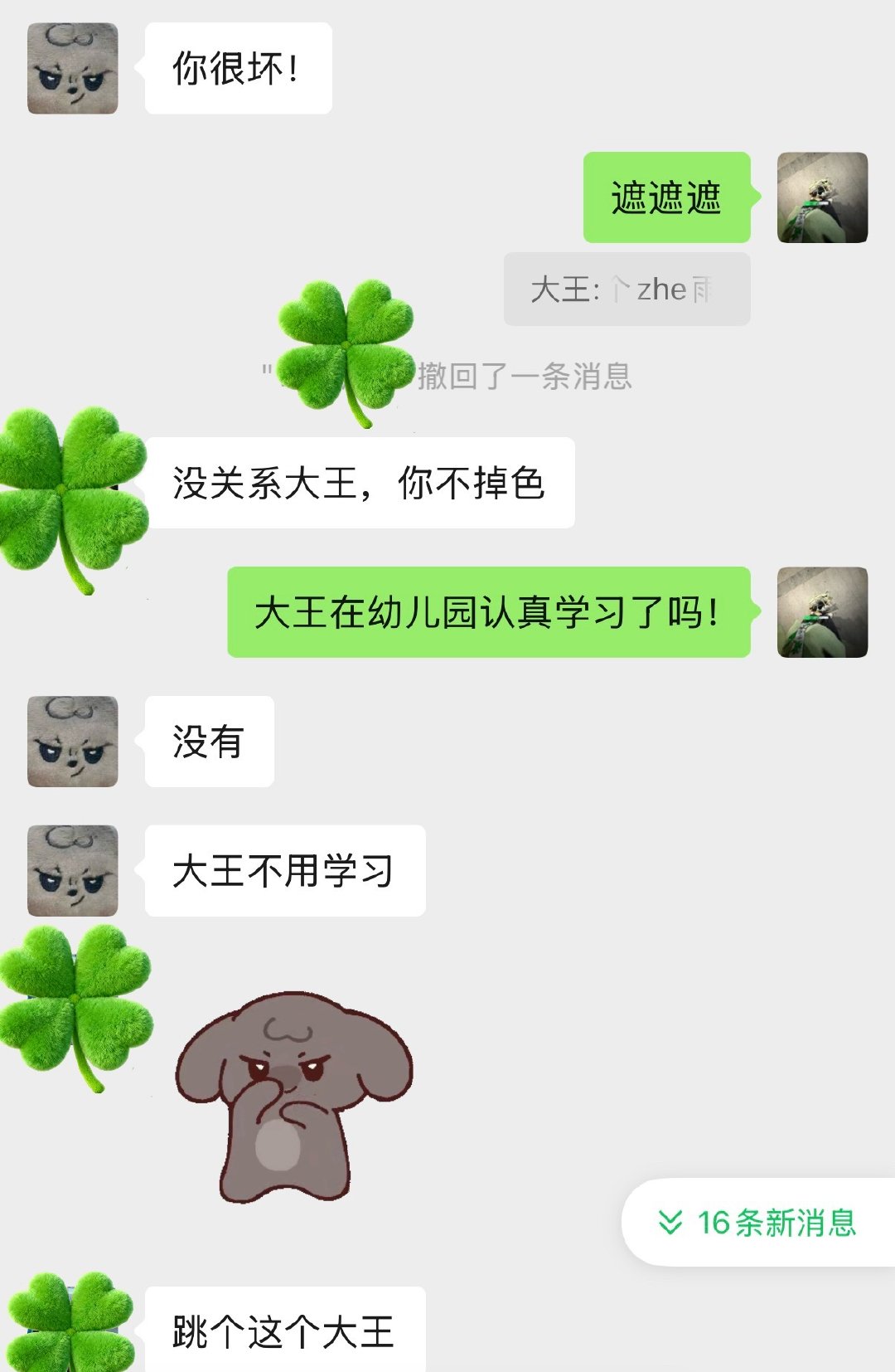 群里面进了一只大王后- ​​​