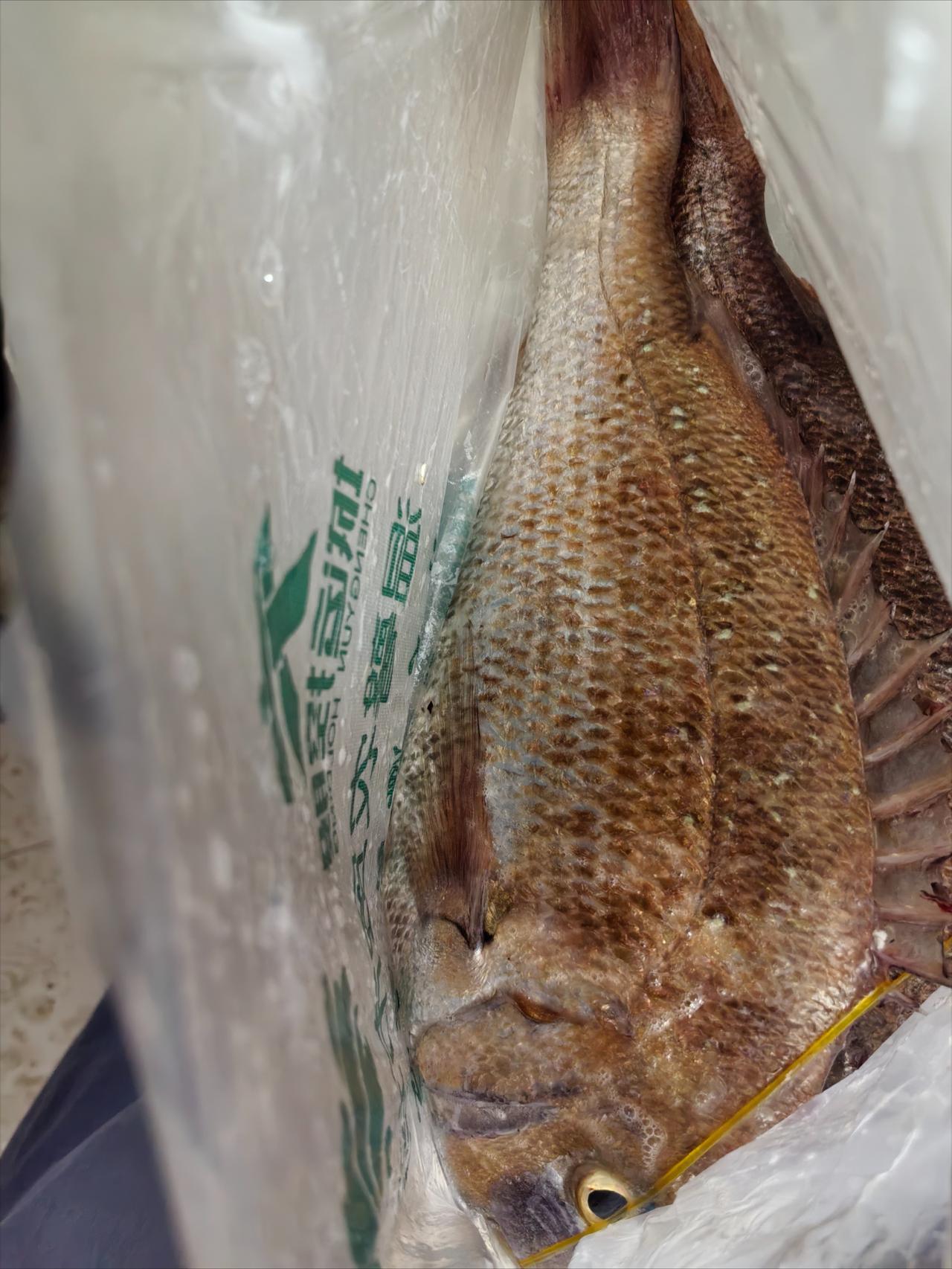 去二舅家拜年我都不带着女儿去，因为红包这事让我觉得总有还不完的人情。

二舅是婆